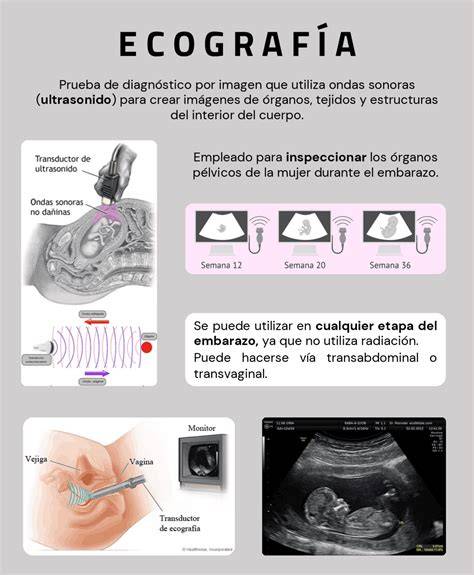 Infografía: Importancia de la ecografía en obstetricia