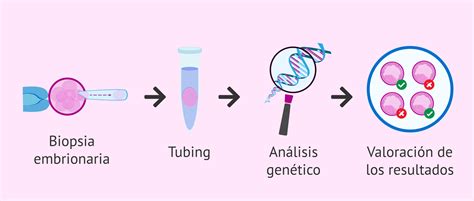 Esquema del proceso de biopsia embrionaria para DGP