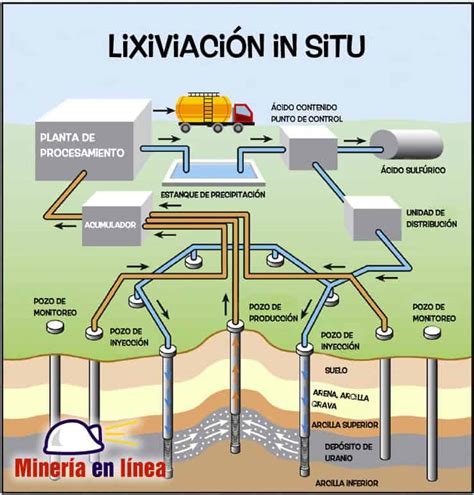 Diagrama mostrando la lixiviación de nutrientes en suelos de exterior.