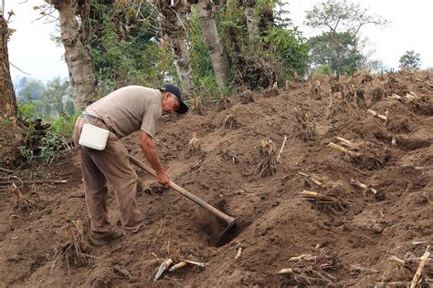 Ritual de siembra o cosecha en una tribu africana
