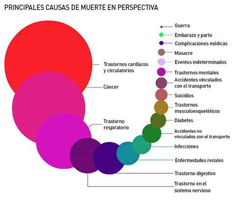 infografía sobre las causas de muerte en pichones de aves