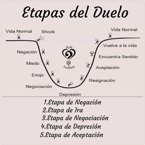 Esquema de las etapas del duelo perinatal