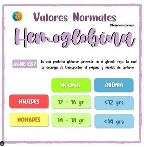 Infografía: Niveles de Hemoglobina normales en cada trimestre del embarazo