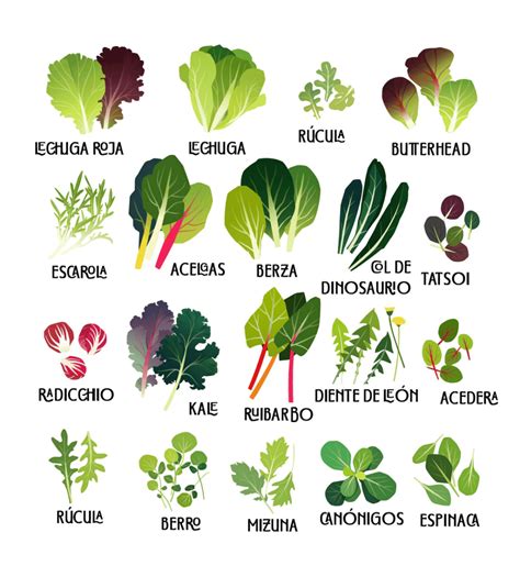 Variedad de frutas, verduras y hortalizas de hoja verde listas para ser procesadas en el extractor BioChef Axis Compact.