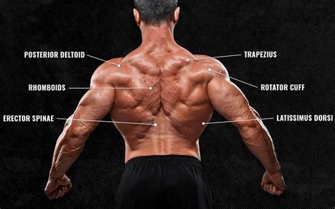 Diagrama que ilustra los canales antifugas en los laterales y la espalda de los Dodot Pants.