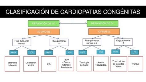 Esquema de las principales cardiopatías congénitas