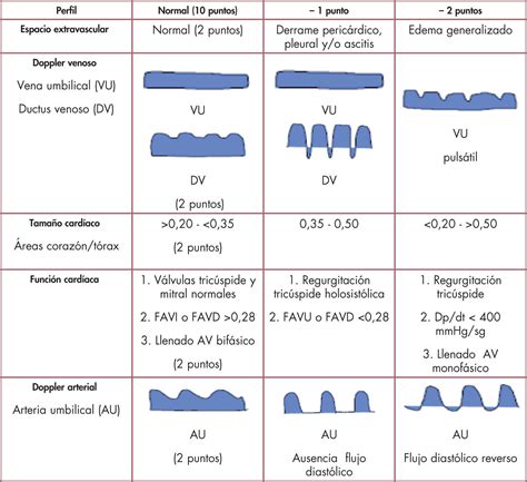Perfil cardiovascular fetal (puntuación de Huhta)
