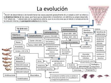Esquema comparativo entre la evolución darwiniana y la historicidad del ser de Heidegger