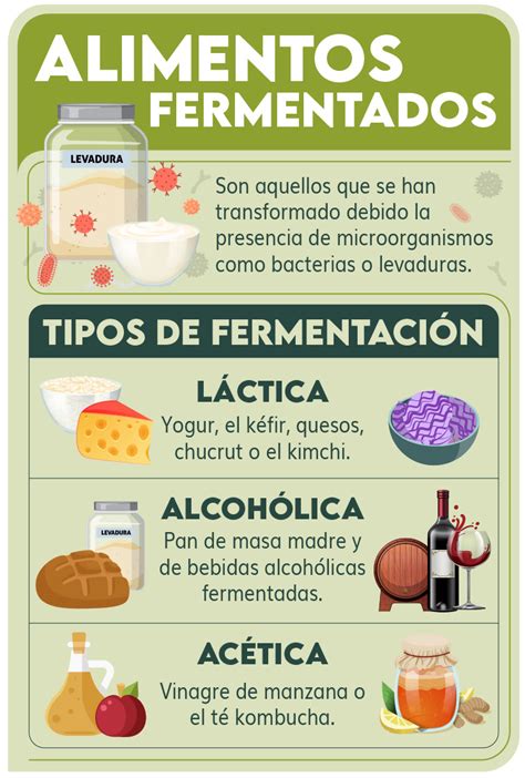 Ilustración: Beneficios de los alimentos fermentados como el yogur.