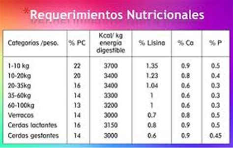tabla de requerimientos nutricionales para cachorros