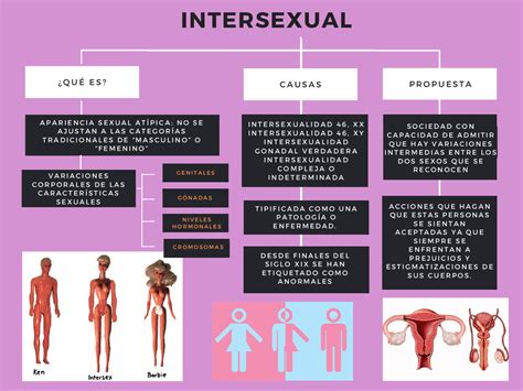Diagrama explicando las diferentes manifestaciones de la intersexualidad