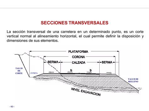 Sección transversal de una semilla mostrando sus cubiertas