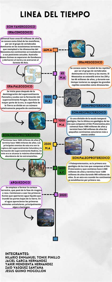 Infografía que ilustra la línea de tiempo del periodo neonatal (0-28 días) y las estadísticas globales de supervivencia.