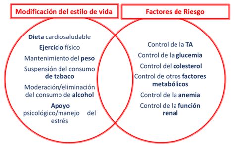 Infografía comparativa que muestra los factores de riesgo principales (tabaquismo, dieta, sedentarismo) que aceleran la mortalidad prematura.