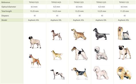 Tabla comparativa de razas de perros
