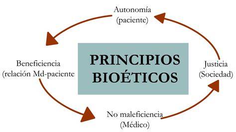 Esquema de los principios de la bioética en la toma de decisiones complejas