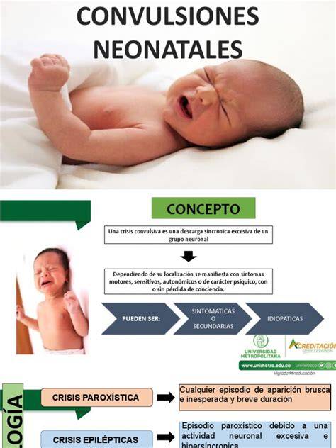 Esquema de las causas de convulsiones neonatales, incluyendo hipoxia-isquemia, infecciones y trastornos metabólicos.