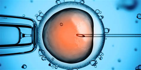 Equipo médico especializado en reproducción asistida analizando resultados en laboratorio