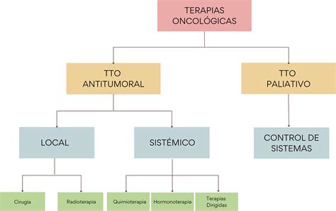 Esquema de las diferentes fases de tratamiento oncológico pediátrico