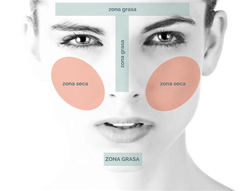 Gráfico comparativo del grosor de la piel en diferentes zonas del rostro, destacando la del contorno de ojos.