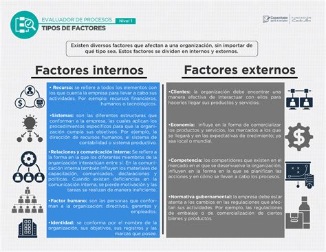 Infografía detallando los factores externos e internos que contribuyen al envejecimiento de la piel.