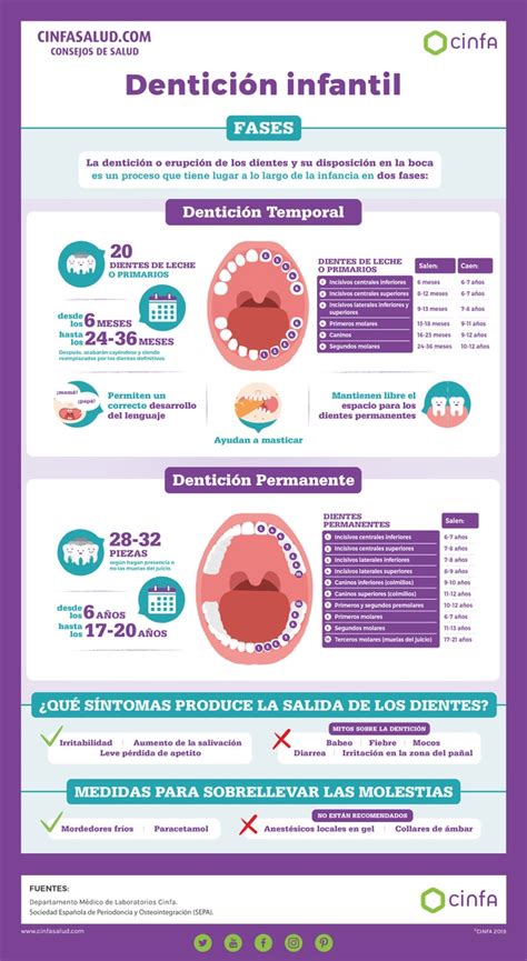 Infografía sobre las etapas de la dentición y sus síntomas
