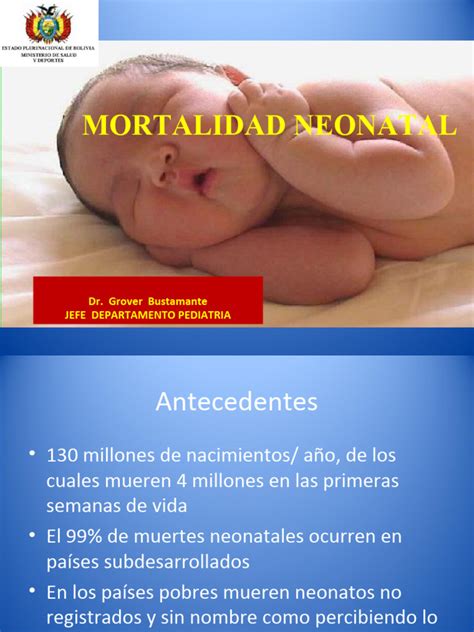 Infografía: principales causas de mortalidad neonatal en cachorros