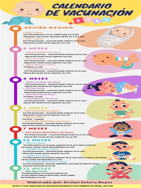 Infografía mostrando el calendario de vacunación infantil