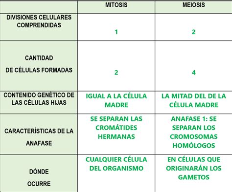 Tabla comparativa de Mitosis y Meiosis, destacando diferencias en número de divisiones, células resultantes, ploidía y propósito.