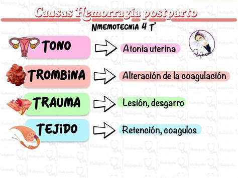 Infografía de las causas de la hemorragia postparto (las 4 T's)