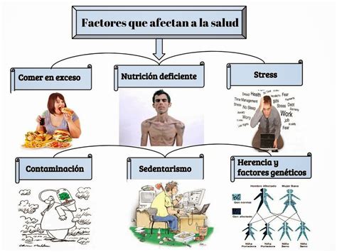 Esquema de la anatomía vaginal y factores que afectan su salud