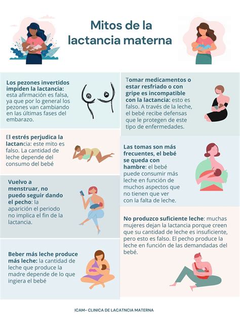 Infografía desmintiendo mitos sobre la lactancia durante el embarazo