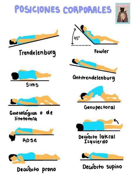 Esquema detallado que muestra las diferentes posiciones de altura del somier en una cuna y cómo estas se ajustan al desarrollo del bebé, desde recién nacido hasta que se pone de pie.