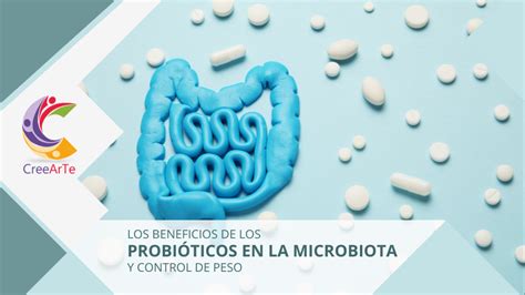 Infografía sobre la acción de los HMOs y probióticos en el intestino del bebé