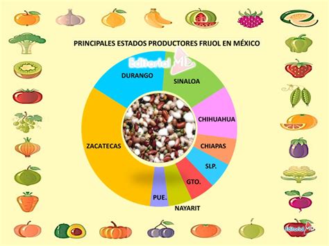 infografía de clasificación de productos agrícolas