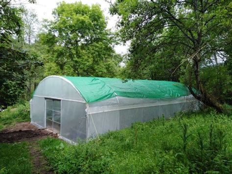 Invernadero casero para cultivo de setas