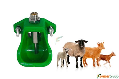 Comederos y bebederos adaptados para cabras en una nave