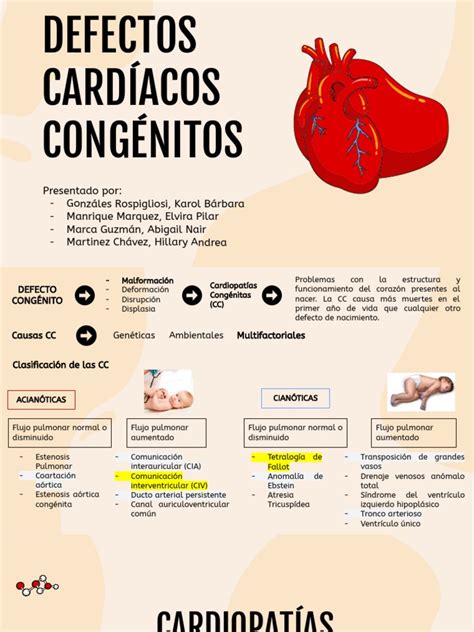 Infografía sobre los diferentes tipos de defectos de la válvula mitral
