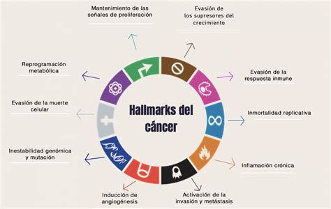 Ilustración: Representación de los 