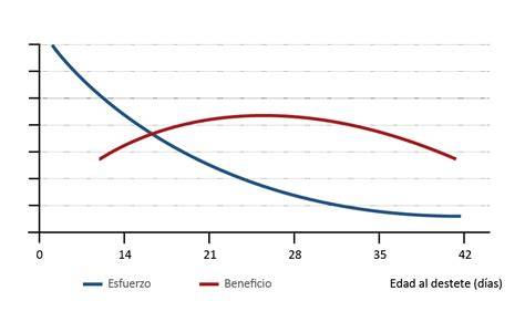 Gráfico que asocia esfuerzo y beneficio de la edad al destete