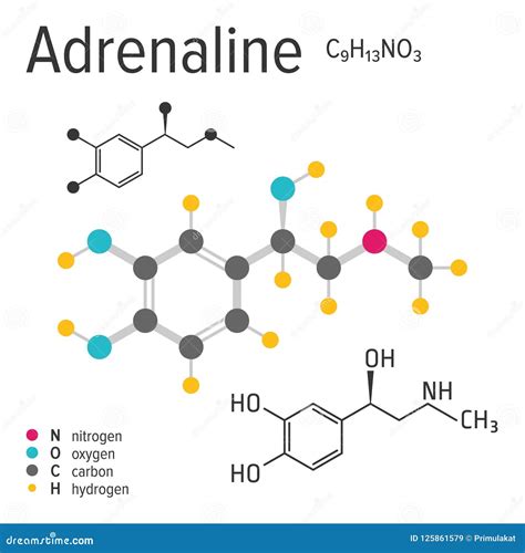 Infografía comparando la estructura química de la adrenalina y la anfetamina