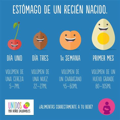 Infografía sobre el crecimiento del estómago del bebé en las primeras semanas