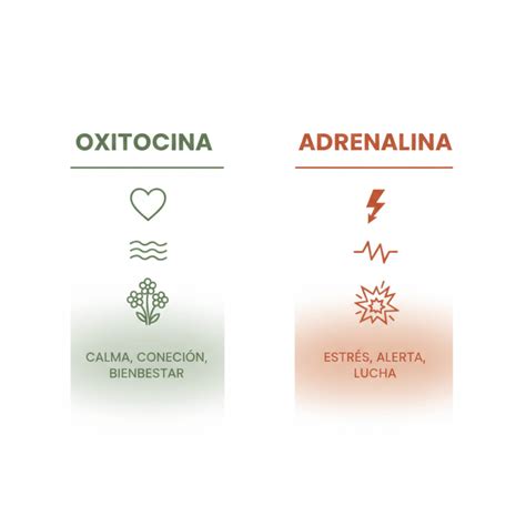 Gráfico comparativo del equilibrio hormonal entre oxitocina y adrenalina durante el trabajo de parto.