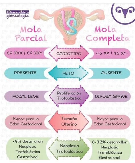 Diagrama que ilustra la diferencia entre mola completa y mola parcial