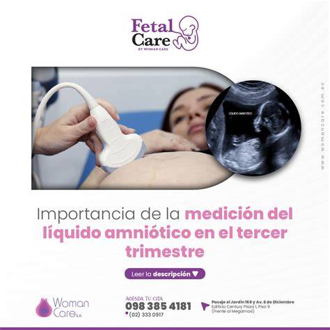 Ecografía fetal mostrando el líquido amniótico