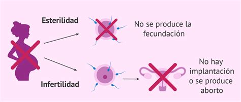 Gráfico o infografía sobre la prevalencia de la esterilidad por rangos de edad femenina