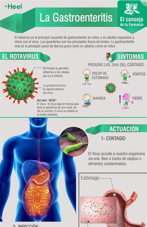 infografía sobre las causas y síntomas de la gastroenteritis en el embarazo
