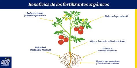 Infografía: Composición detallada y beneficios del fertilizante AGROBETA FLORACIÓN ESPECIAL HORTÍCOLAS