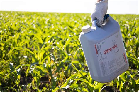 Tabla de métodos de aplicación de fertilizantes: foliar vs. radicular
