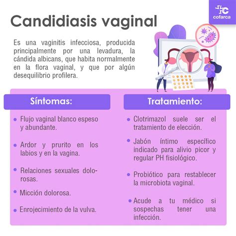 Infografía sobre la prevención de la candidiasis vaginal